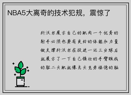 NBA5大离奇的技术犯规，震惊了